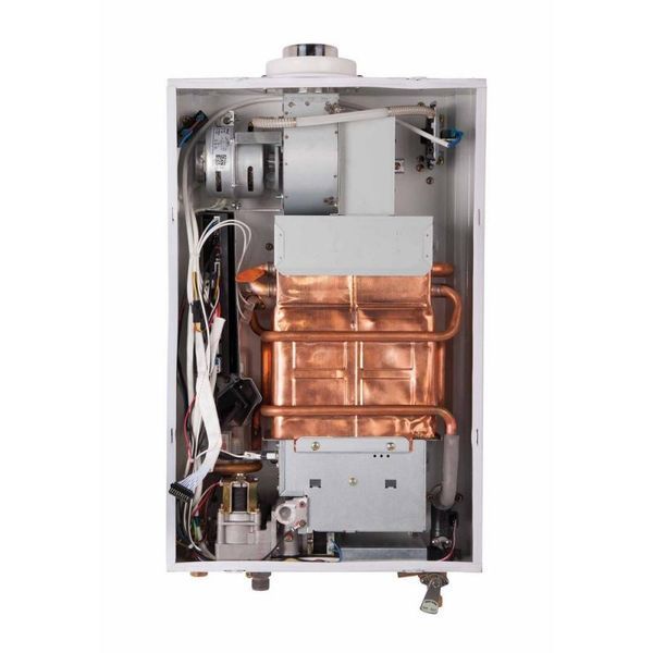 Колонка газова димохідна Thermo Alliance JSG20-10ETP18 10 л Silver JSG2010ETP18SILVER фото